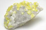 Sulfur Crystals on Fluorescent Aragonite - Italy #208737-1